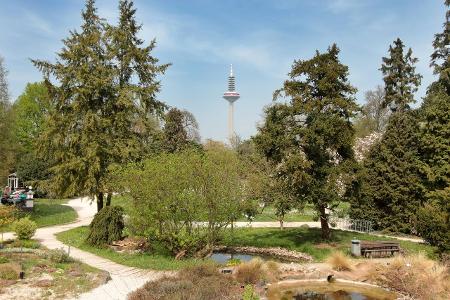 Palmengarten Frankfurt imago images Ralph Peters.jpg