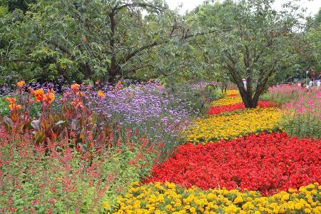 Luisenpark Mannheim imago images McPHOTO.jpg