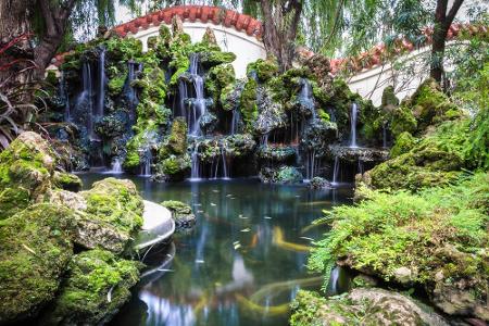 Wer denkt, wir sind in Japan, der irrt. Der 