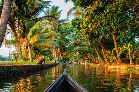 Indien ist die Heimat des Yoga. Hier gibt es eine riesige Auswahl an Yogaspots, die zum Träumen einladen. Zum Beispiel im tr...