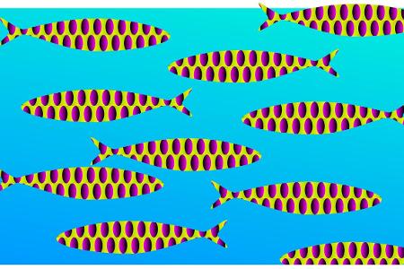 sakana2014 Kitaoka 2014.jpg