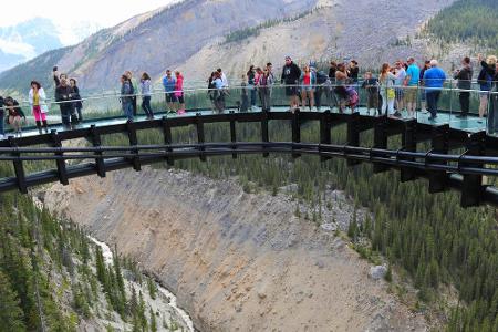 Im Jasper National Park in den Rocky Mountains in Kanada liegt der Glacier Skywalk. Der gläserne Boden ist nur für Schwindel...