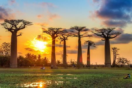 Bis an die Ostküste Afrikas erstreckt sich der Indische Ozean. Und genau dort befindet sich Madagaskar. Aus den dicht bewach...