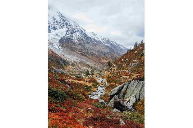 1.6 Schweiz Lötschtal JO2_7609.jpg