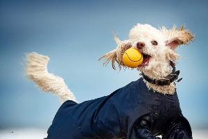 Overall winner @darrenwilliamhall .jpg