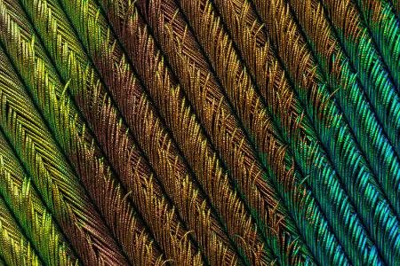 k-#4 - nikosmallworld3.jpg