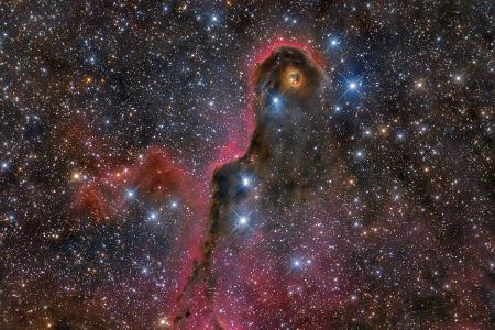 The Elegant Elephant's Trunk ® Llus Romero Ventura2.jpg