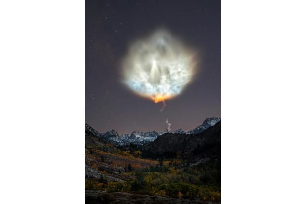 Flower Power ® Brandon Yoshizawa.jpg