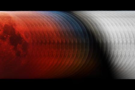 Into the Shadow © László Francsics.jpg