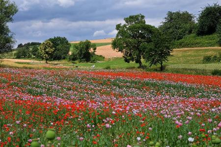 Geo-Naturpark Frau-Holle-Land