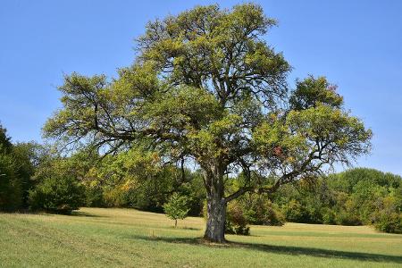 Biosphärenreservat Bliesgau