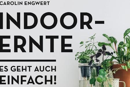 Carolin Engwert beschäftigt sich in ihrem Buch 