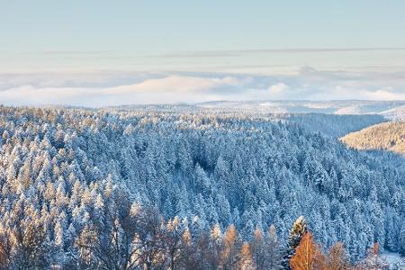 Viel Schnee gibt es auch in Deutschland - und zwar im Schwarzwald. Weiße Wälder, unberührte Natur und einige Wintersportmögl...