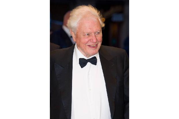 Sir David Attenborough gehört zu Großbritannien wie die Queen und Tee mit Milch. Der Naturfilmer ist Kult, und dieser Kult i...