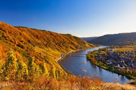 Wenn sich im Herbst die Blätter verfärben, steht die Weinlese an der Mosel an. Mit einem Glas Wein in der Hand genießt man d...