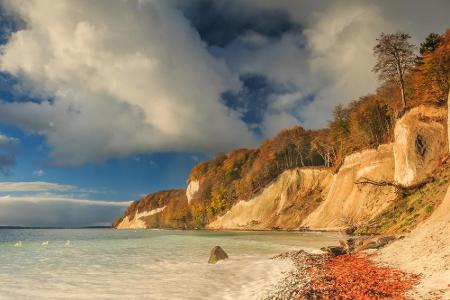 Rügen ist nicht nur im Sommer eine Reise wert. Im Herbst verfärben sich die Bäume oberhalb der Klippen Rot und Gelb. Auf den...