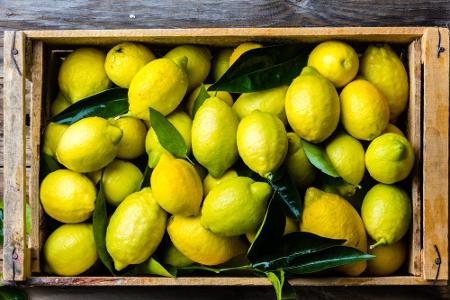 Wenn ein Lebensmittel überhaupt keine Kälte verträgt, sind es die Zitrusfrüchte. Zitronen, Limetten und Co. stammen schließl...