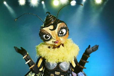 Auch eine Biene ist bei der Herbststaffel am Start