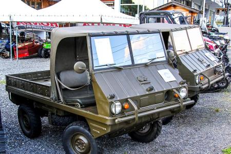 Der passende Name für dieses kleine-Arbeitstier: Haflinger - so wie die robusten Pferde aus Südtirol.