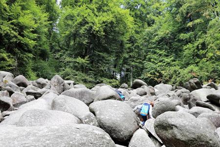 Das Felsenmeer in Lauertal (Hessen) wirkt wie ein Fluss aus grauen Steinen. Der Legende nach entstand es durch zwei Riesen, ...