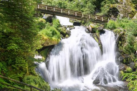 Wasserfälle ziehen viele Menschen magisch an. Besonders schön sind die Triberger Wasserfälle, die 163 Meter über sieben Fall...
