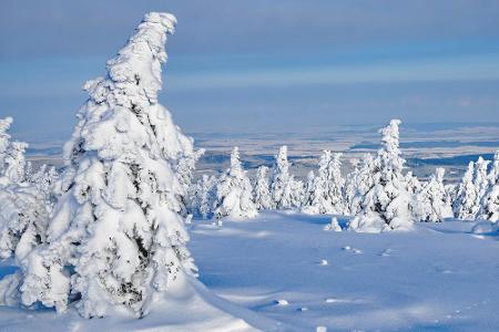 Ein Wald in Schweden, Finnland oder Norwegen? Falsch! Dieser Anblick bietet sich Gipfelstürmern, wenn sie im Winter den Broc...