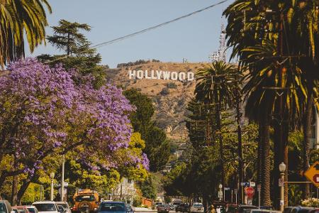 Hollywood ist das Zentrum der weltweiten Filmindustrie. Naturgemäß wohnen deshalb unzählige Stars in und rund um Los Angeles...