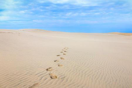 Zwischen Lønstrup und Løkken befindet sich die größte Wanderdüne Europas. Råbjerg Mile ist bis zu 40 Meter hoch und bewegt s...