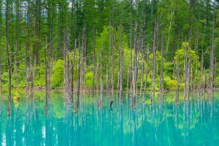 Dieses Bild dürfte vielen MacBook-Besitzern bekannt vorkommen. Der Teich mit der so ungewöhnlich intensiven blauen Farbe ist...
