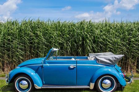Doch die frische Luft muss kein Luxusvergnügen sein, wie der VW Käfer in der Cabriolet-Version seinerzeit bewies. Der schnit...
