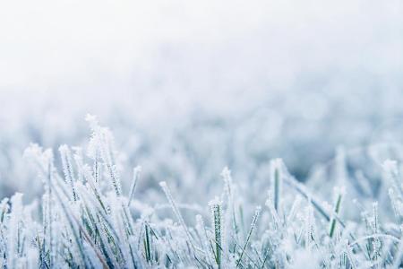 Das sind die verrücktesten Eis-Sorten