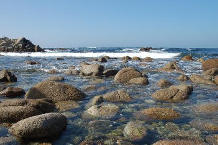 Monterey in Kalifornien zieht jährlich mehrere Millionen Touristen an. Die meisten kommen, um sich in der großen Bucht zu er...