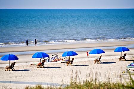 Unberührte Strände und Tiere in der freien Natur - das bekommen Urlauber auf Hilton Head Island in Kalifornien zu sehen. Im ...