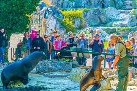 Neben dem gelben Schloss befindet sich der Tiergarten Schönbrunn. Er ist der älteste Zoo der Welt, den Mitte des 18. Jahrhun...