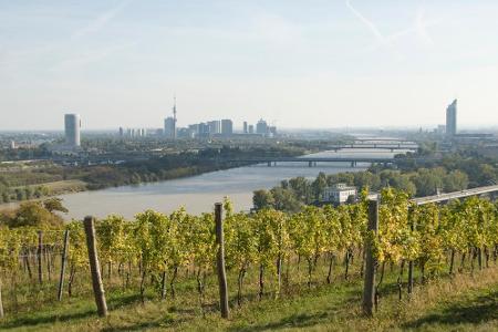 Der Kahlenberg ist der Hausberg der Wiener. Von seiner Aussichtsplattform hat man einen Blick über die ganze Stadt. Auf dem ...