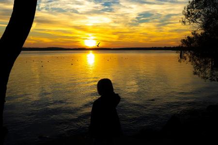 Für Familien ist der Müritzsee in Mecklenburg-Vorpommern bestens geeignet. Am Südostufer gibt es Badestellen mit einem feine...