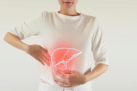 Die Leber ist ein besonderes Organ. Selbst wenn sie 75 Prozent der Größe verliert, kann sie vollständig innerhalb etwa eines...