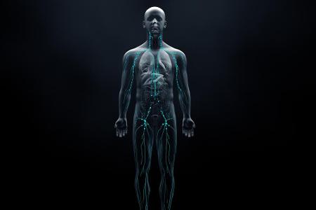 Bakterien werden oft als etwas Böses dargestellt. Ein häufig unbekannter Fakt ist, dass im menschlichen Körper zehn Mal so v...