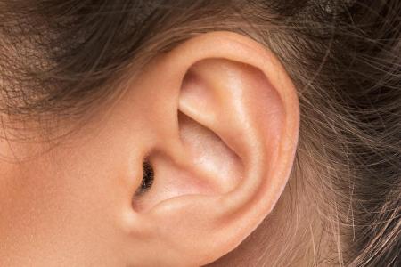 Kennen Sie den Steigbügel? Er ist der kleinste Knochen im Körper und sitzt im Mittelohr. Der Knochen ist mit einer Membran v...