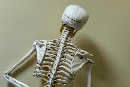 Auch wenn viele schon einen Knochenbruch erlebt haben, ist es ein Fakt, dass Knochen stärker als Stahl sind. Drucktoleranz u...