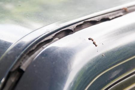 Ein weiterer Kandidat für Standschäden ist die Gummiabdichtung am Auto. Auch Manschetten können angegriffen werden. Das Gumm...