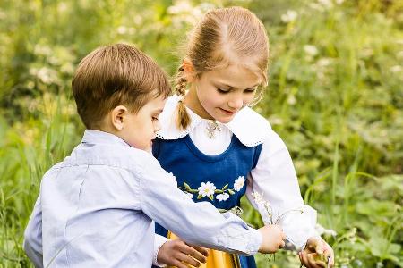 Die schwedischen Thronfolger beim Blumenpflücken