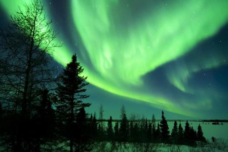 Nicht nur in Skandinavien, sondern auch im Wapusk Nationalpark an den Küsten der Hudson Bay kann man die Nordlichter bestaun...