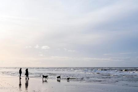 Im dicken Wintermantel eingepackt am Meer spazieren gehen, einen heißen Tee trinken und sich im Spa verwöhnen lassen. Es gib...