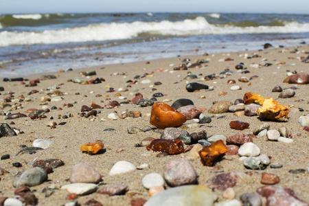 Die besten Chancen, Bernstein zu finden, haben Liebhaber im Winter. Denn nur wenn das Meerwasser kalt ist und eine große Dic...