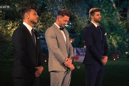 Der eine hat sie, der andere will sie, der Dritte will sie nicht: die Rose!