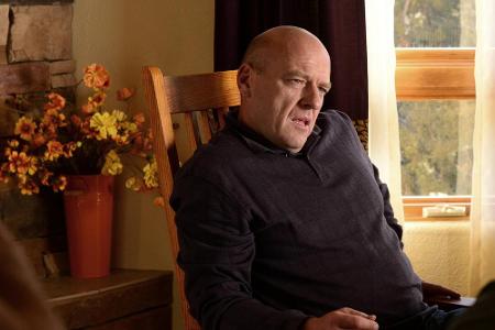 Dean Norris (54) spielte Hank Schrader, den draufgängerischen Ermittler der DEA, der US-Drogenvollzugsbehörde, der Heisenber...