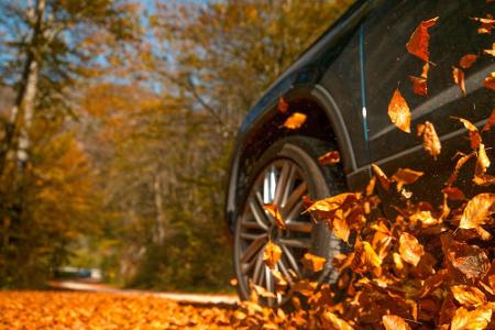Im Herbst sind die Straßen oft nass und voller Laub, dazu frischt der Wind wieder auf und wird häufig zum Sturm. Mit diesen ...