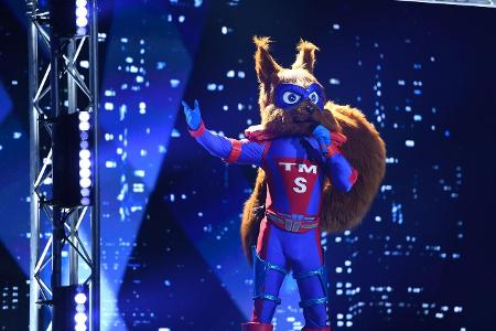 Schiefe Töne, aber ordentliche Muckis: Das Eichhörnchen setzte sich gegen den Kakadu im Showdown durch.