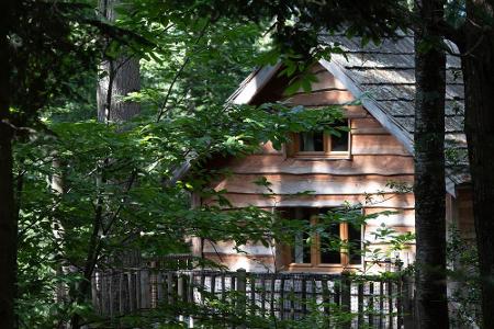 Schwindelfreie Glamper können eine der ca. zehn Meter hoch gelegenen Unterkünfte beziehen. Zum Frühstücken muss man das Luft...